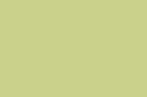 Altro Chameleon Two-part Joint Strip