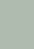 Altro Whiterock Chameleon Ice Queen  6629V